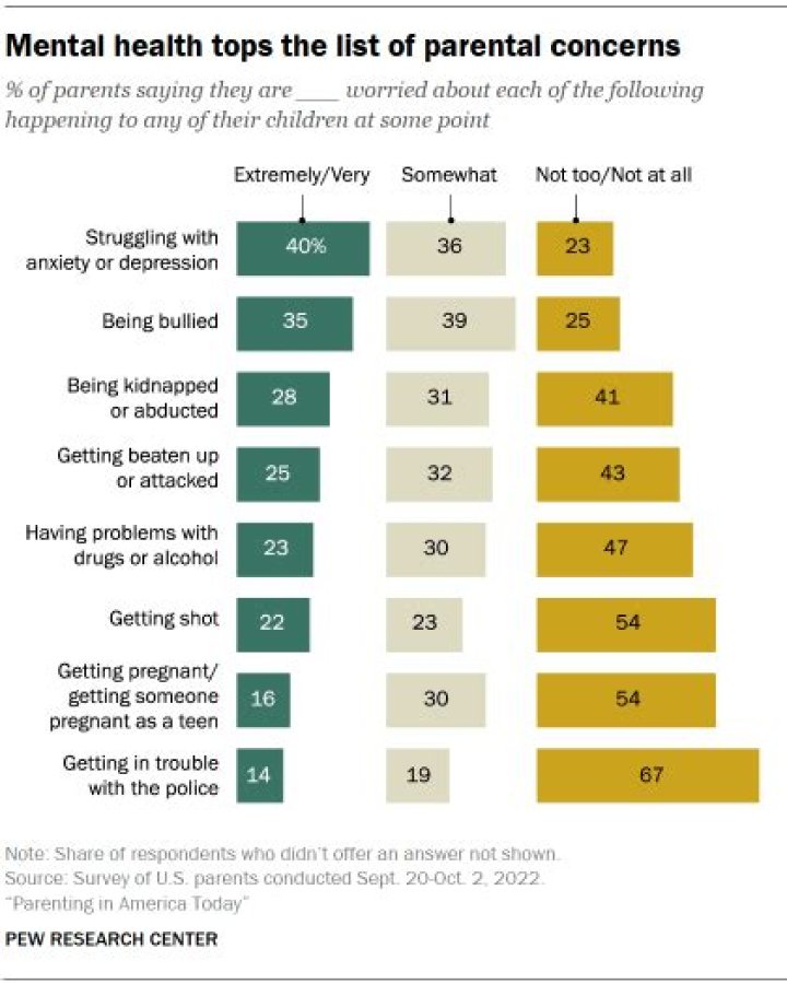 2023 American Family Survey on mental health, marriage and more