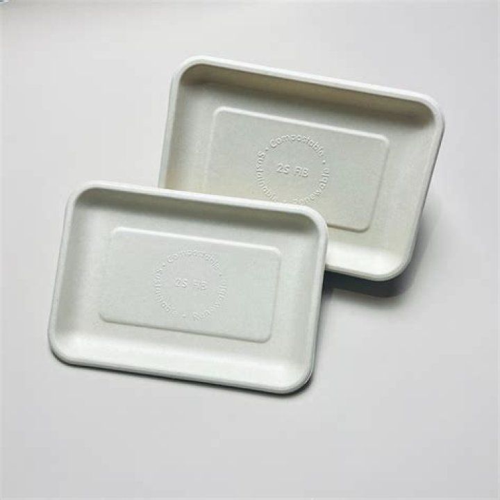 Auckland factory producing recyclable meat trays