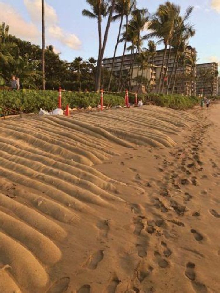 Condo, hotel deploy protective measures from sea | News, Sports, Jobs