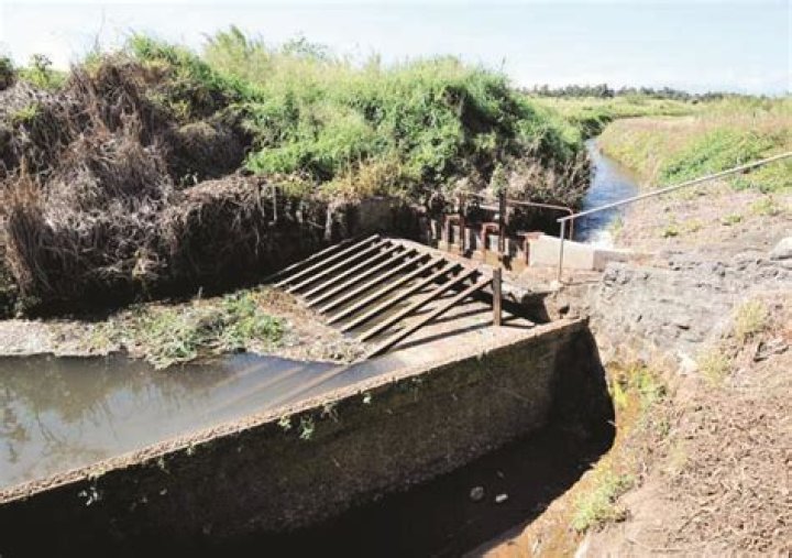 Council close to appointing East Maui water board | News, Sports, Jobs