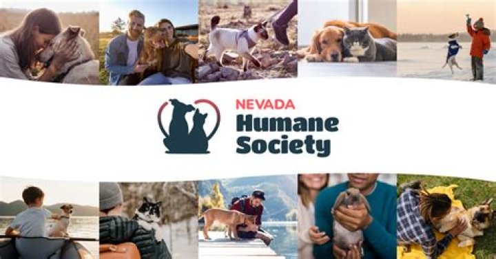 Duck Race Raises Over $100,000 for Nevada Humane Society |