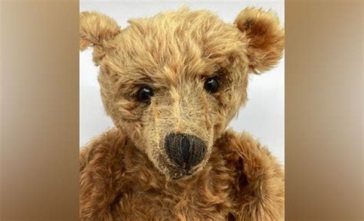 False teeth and a teddy bear found in Nelson Tasman wastewater