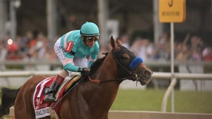 National Treasure, Master of the Seas among invitees to Pegasus day at Gulfstream Park