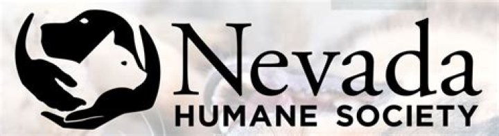 Nevada Humane Society Appoints Jerleen Bryant as Permanent CEO | News