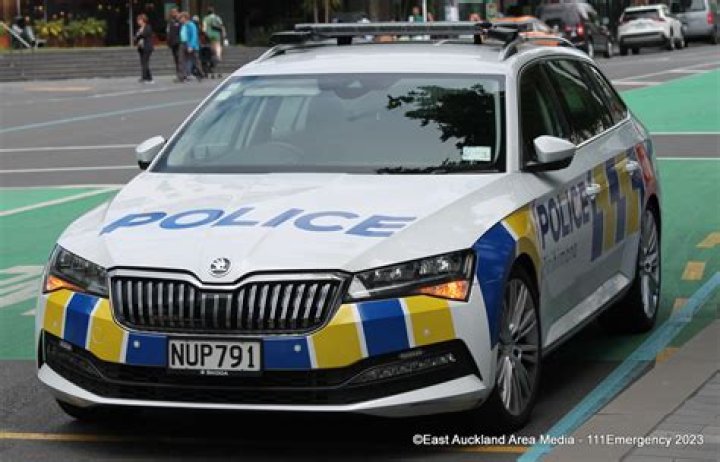 New Auckland police car celebrates diverse communities