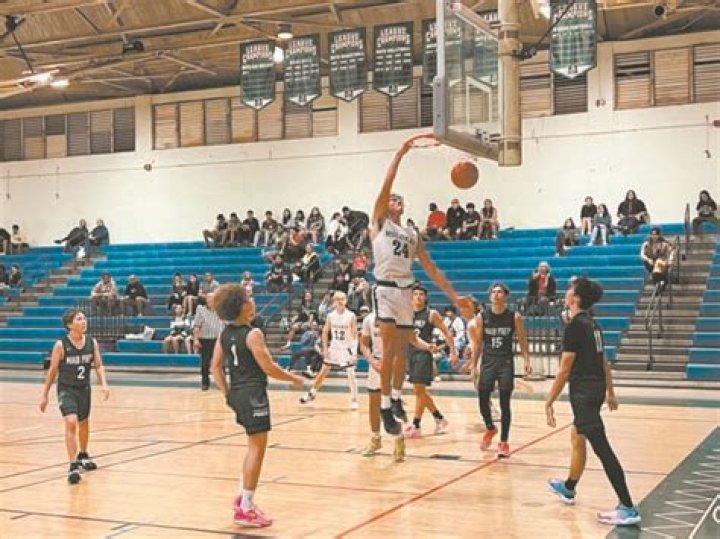 Spartans, Farmers to meet in D-II tourney final | News, Sports, Jobs