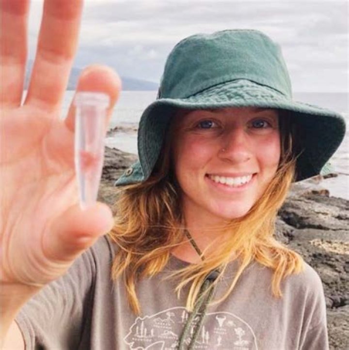 Startup looks to seaweed to cut cows’ impact on climate | News, Sports, Jobs